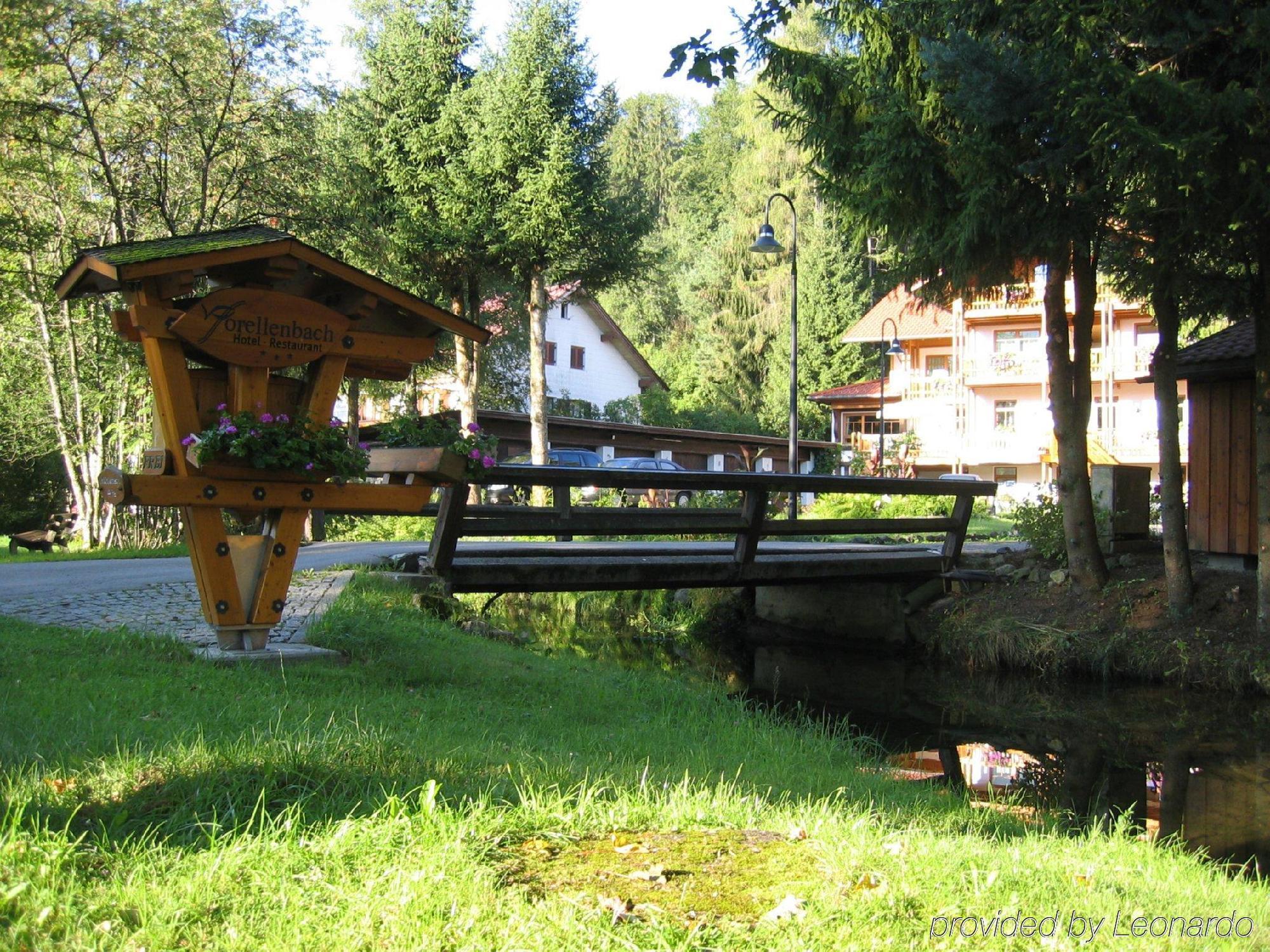 Hotel Und Apartements Im Forellenbach Fischen im Allgaeu Εξωτερικό φωτογραφία