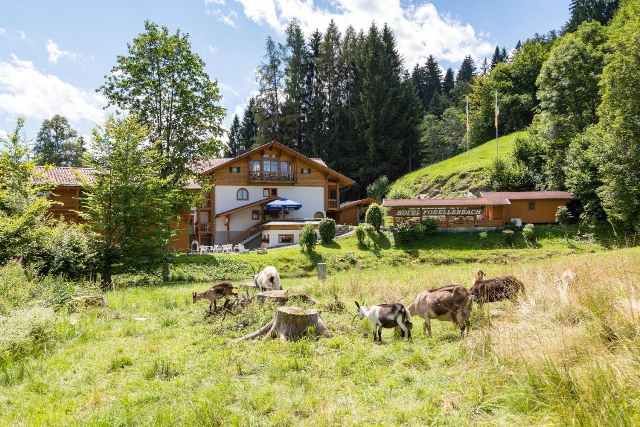 Hotel Und Apartements Im Forellenbach Fischen im Allgaeu Εξωτερικό φωτογραφία